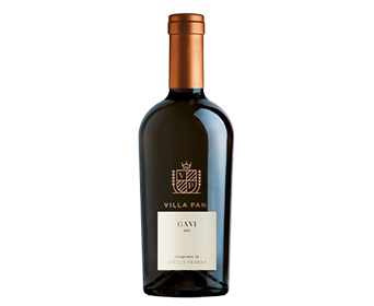 Villa Pani Gavi